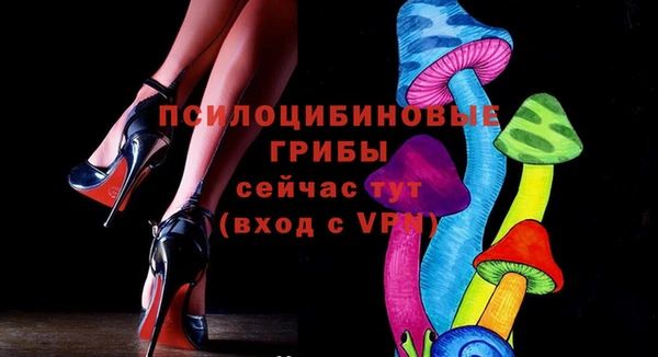 дживик Беломорск