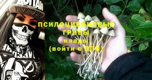 эйфоретик Бронницы